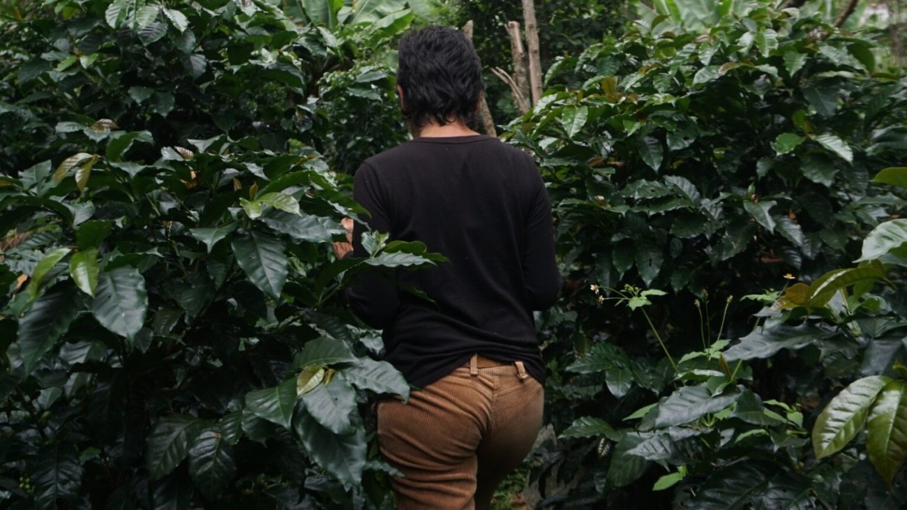 Mujeres de Los Andes humedales saberes ancestrales