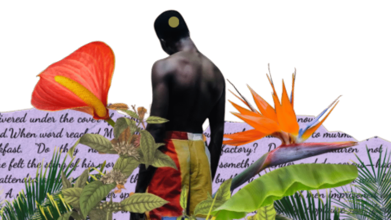 Afrovenezolanidad